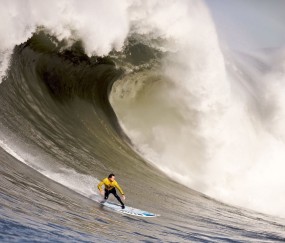 行业发展分析中3377体育官网入口的表现操作教程